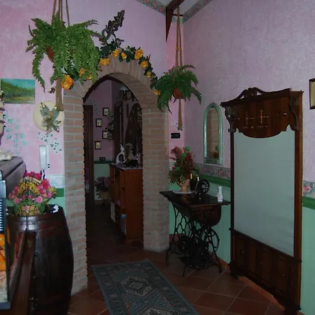 Couette-café Sette Nani