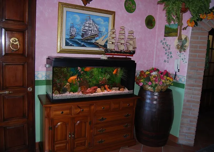 Bed and breakfast Sette Nani